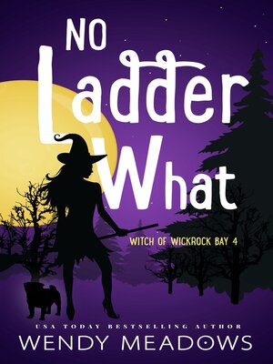 cover image of No Ladder What